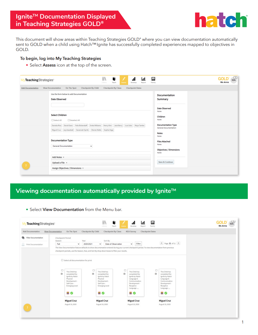 Gold_Documentation_Guide (1)