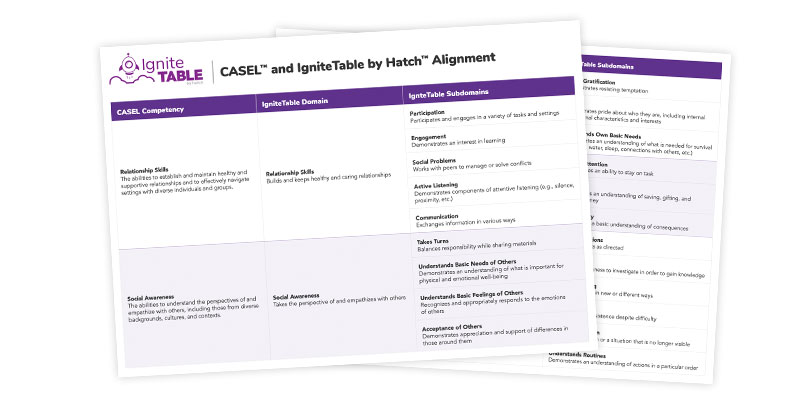 CASEL-IgniteTable